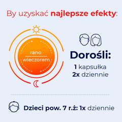 Debutir Forte kapsułki, 60 kaps./1 opak._2