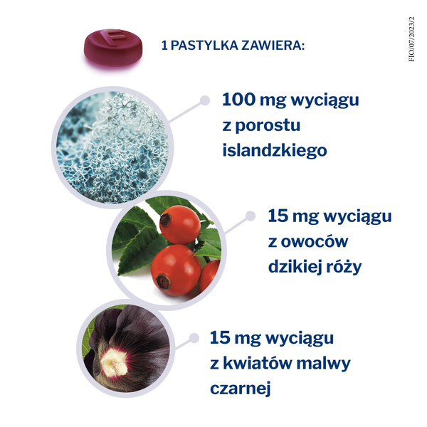 Fiorda pastylki do ssania o smaku czarnej porzeczki, 60 szt./1 opak._2