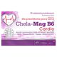 Chela-Mag B6 Cardio suplement diety, 30 tabl./1 opak._2